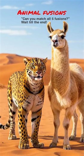 Leopard-Llama Fusion Beast Unleashed