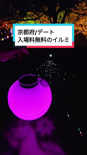 京都競馬場で楽しむ無料のイルミネーションイベント