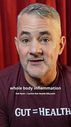 Dog expert on how to safely add turmeric to your dog’s diet If we haven’t met yet, I’m Rob Ryan, founder of Gussy’s Gut. I spend my time helping dog owners understand what’s actually happening in their dog’s gut and why so many chronic issues start with digestion. Over the years, I’ve worked with thousands of dogs whose owners were doing “everything right” and still dealing with loose stools, itching, gas, and inconsistent energy. The problem usually isn’t effort — it’s misinformation. This page