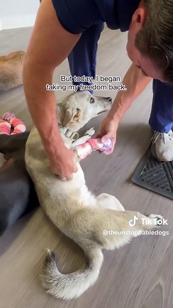 Brooke's Comeback: One New Prosthetic Leg, One Brave Step