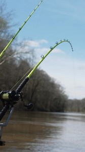 39K views · 364 reactions | NOW AVAILABLE: 4REEL Fish Finder Rig –...