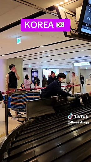 Best Countries for Baggage Handling in the World