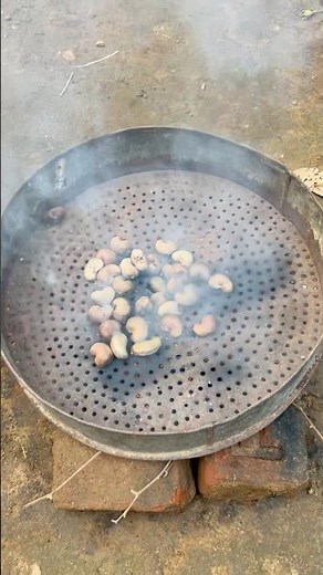 🌿 Home-Grown Cashew Processing | From Harvest to Ready-to-Eat Cashews #cashew #viral