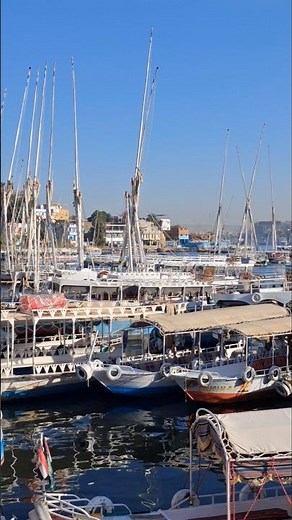 More from Aswan in Egypt