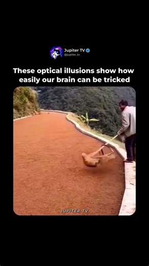 Optical Illusions That Trick Your Brain 🧠