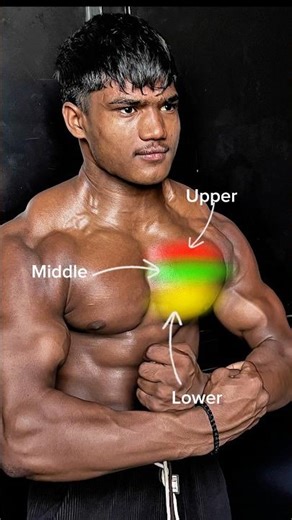 To build chest at home, it is very important to have a good bench.