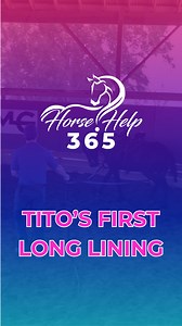 🐴 Long Lining Day One! 🎯 In this first session with Tito, we introduce the basics of long lining using a full cheek snaffle and biothane lines. The goal? Teaching softness, steering, and pressure response. 💡 Want the full lesson on how to start ground driving the right way? Watch the video at Horse Help 365! 🚀 Deepen your knowledge! Explore our website (link in bio) or take the FREE 30-Day Horse Help Challenge: www.horsehelpchallenge.com #horsebackriding #horses #horsetraining #horsetrainer 