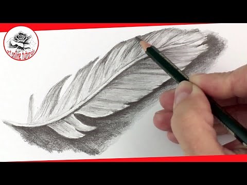 How to Draw a Feather with Pencil step by step | Pencil Drawing Techniques (Subtitled on Screen)
