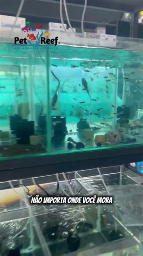 🚚 Quer garantir economia de verdade? 👉 Corre no link da bio e faça seu pedido agora mesmo!