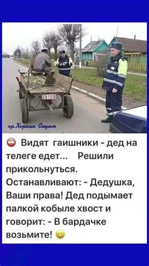 #юмор #анекдоты #смешновидео