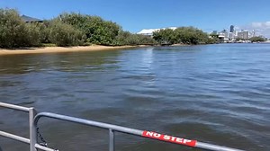 Ladies were excited to see the dolphin jump out of the water #bbqboatsgoldcoast #boathiregoldcoast | Gold Coast Party Pontoons