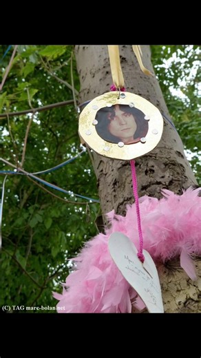Marc Bolan's Rock Shrine on Reels