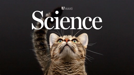 【中文导读】《Science 科学》周刊 2025-11-27