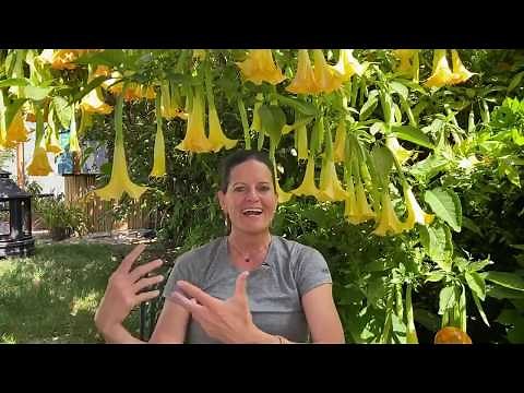 Fasting (Hour-By-Hour Summary) + Q & A