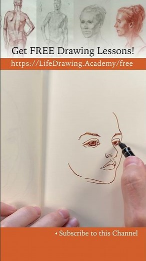 Drawing a Portrait with Curly Hair - https://lifedrawing.academy/free