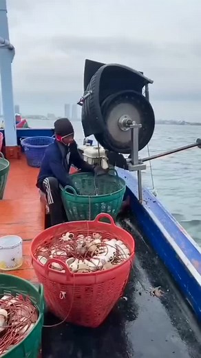 575 reactions · 142 shares | #reels #facts #shorts | Knowledge Wala Shorts | Facebook