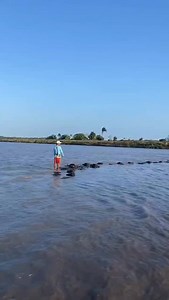 #tbt 02/2024 ❤️📆 Fazenda Hotel Vitória 🏠🏕️🐃🐎 Tracuateua - Pará. Há 190 km da capital Belém. Nos campos de Santa Tereza. 🐜💚☀️ Via @fazendahotelvitoria ▶️ instagram.com/fazendahotelvitoria Contato 📱wa.me/91981148424 | Tracuateuara