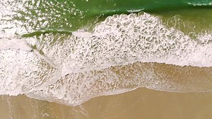 30 miles of charming coastline with pristine beaches, historic attractions, and outdoor leisure await. South Carolina's Hammock Coast is your seaside escape. Follow along and press the like button. | South Carolina's Hammock Coast