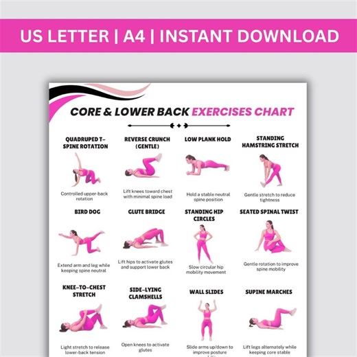 Low Impact Core & Back Exercises | Core Stability Workout Chart | Printable Home Exercise Poster A4 US PDF Low Impact Core Chart Exercises - Etsy