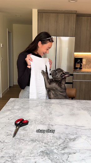 DIY Ghost Costume Tutorial with Pillowcase | Halloween Dog Costume