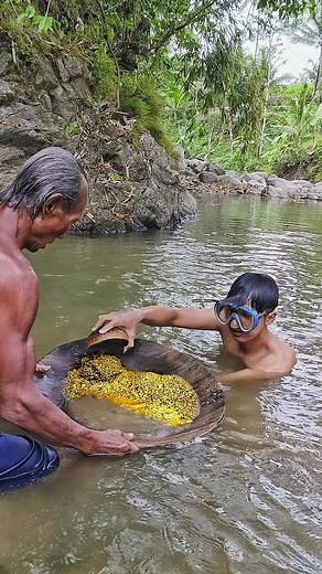 mining gold in natural rivers #gold #mininggold #goldhunter | Jelajah Alam