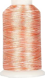 Threadart Variegated Polyester Embroidery Thread - 40wt - 1000m - 25 Colors Available - No. 16 - Peaches