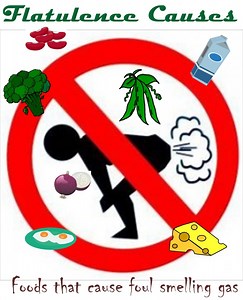 What causes horrible smelling gas? [2025] | QAQooking.wiki