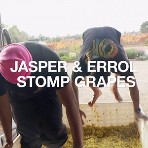 318K views · 2.3K reactions | Odd Future’s Jasper and Errol are meant to be stomping grapes in a vineyard, but Jasper dives headfirst into the barrel and his dad gets way too drunk. | VICE | Facebook