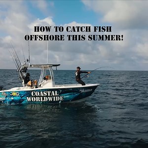 3.2K views · 19 reactions | Step by step how to catch BIG fish this summer! | Coastal WorldWide | Facebook