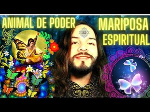 Animal de poder Mariposa y su significado espiritual MARIPOSA TOTEM