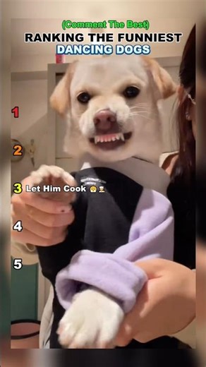 Ranking The Funniest Dancing Dogs 🐶💃#dogranking #dancingdogs #funnydogs