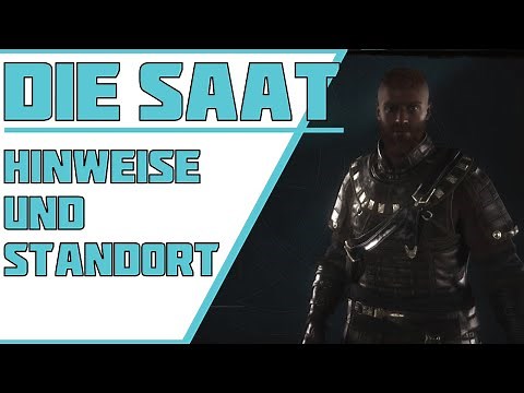 Assassins Creed Valhalla // Die Saat Hinweise und Standort // Kinder der Danu // Zorn der Druiden