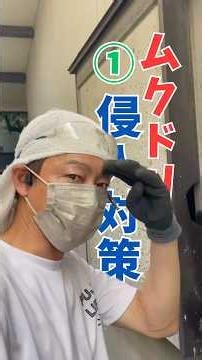 戸袋のムクドリ対策#ムクドリ #床下点検口 戸袋 #鳥の巣 #清掃 #消毒
