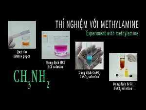 Experiment with methylamine. CH3NH2 + Litmus paper. CH3NH2 + HCl. CH3NH2 + CuSO4. CH3NH2 + FeCl3.