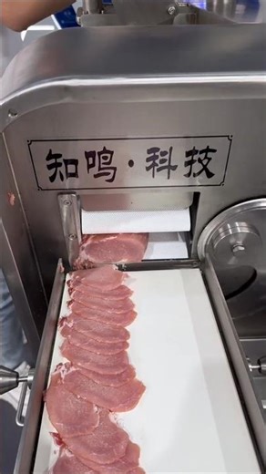 Multi-Function Meat Slicing Machine | Complete Meat Processing Equipment in Action