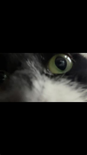 Guided Manifestation Techniques for Visual Learners