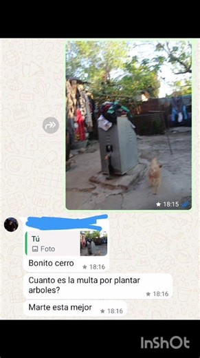 El alcatel boy criticaba la casa #narrandoconloquendo #3