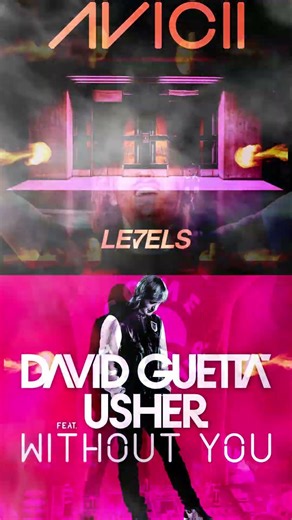 Without You vs. Levels (David Guetta Mashup)