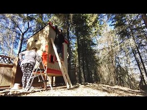 How to Build a 4x8 Chicken Coop for Your Backyard or Homestead (Part 3)