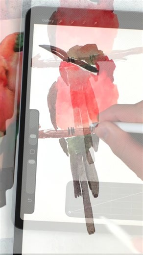 A quick and loose method for painting watercolor birds in procreate #procreatetutorial