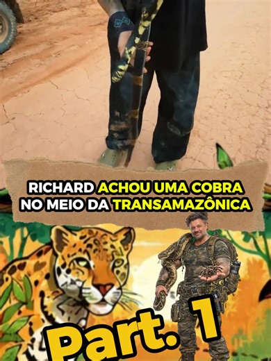 Expedição interrompida após encontrar gigante caída na Amazônia
