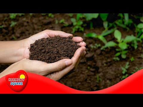 Soil Formation (Pedogenesis) - More Science on the Learning Videos Channel