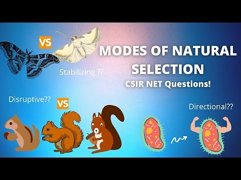 Types of Natural Selection - Directional, Disruptive & Stabilizing |Evolution|