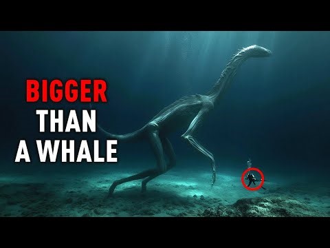 Marine Biologists Found Something BIGGER Than a Whale