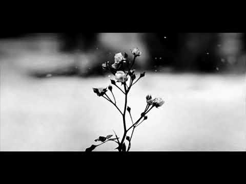 Šopen - Prolećni valcer (Chopin - Spring waltz)