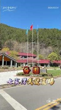 武陵農場梅園以高山環境造就獨特花景，每年12月中旬至1月下旬為最佳賞梅期，3月中旬來不是時候 #農場賞梅