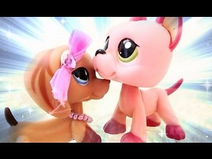 Lps Music Video ~Want U Back ❤️ 8k Special!