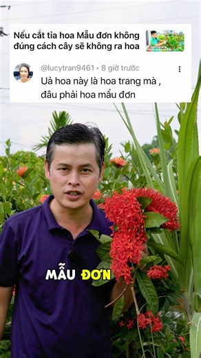 Common Misconception: What is the Difference Between Ixora and Peony?