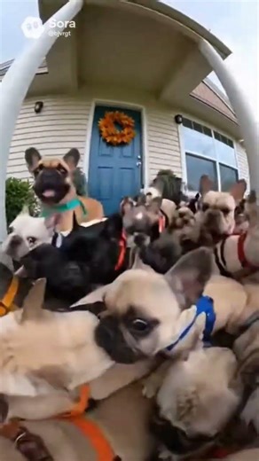 pibble sora ai part 14 #pibble