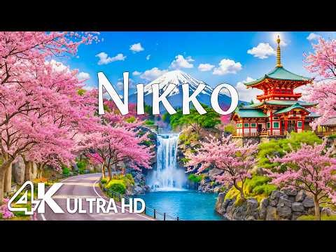 Nikko, Japan Spring 4K 🌸Cherry Blossoms, Mountain Shrines & Sacred Spring Harmony | Relaxing Music